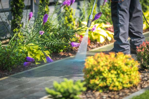 Best Gutter Cleaning  in Bad Axe, MI