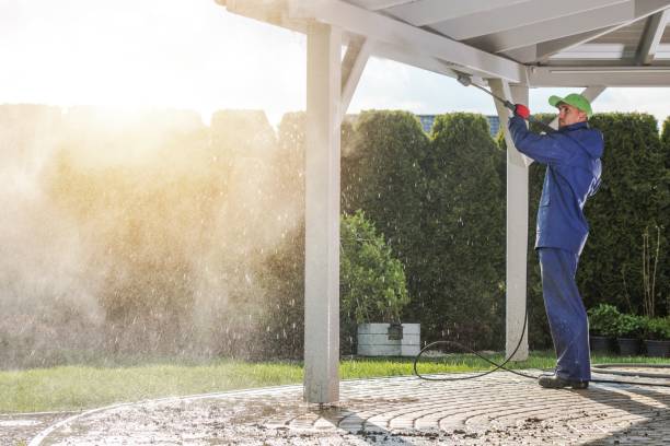 Best Pool Deck Cleaning  in Bad Axe, MI