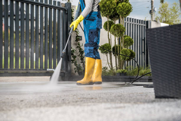 Animal Enclosure Cleaning in Bad Axe, MI